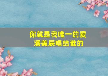 你就是我唯一的爱 潘美辰唱给谁的